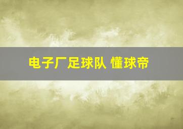 电子厂足球队 懂球帝